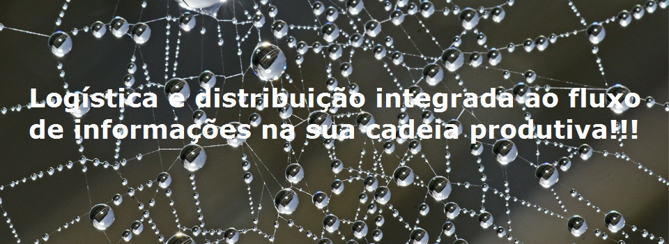 imagem de uma teia de aranha com gotículas de água e com o texto escrito:Logística e Distribuição integradas ao fluxo de informação de sua cadeia produtiva